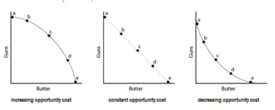 PPC shape